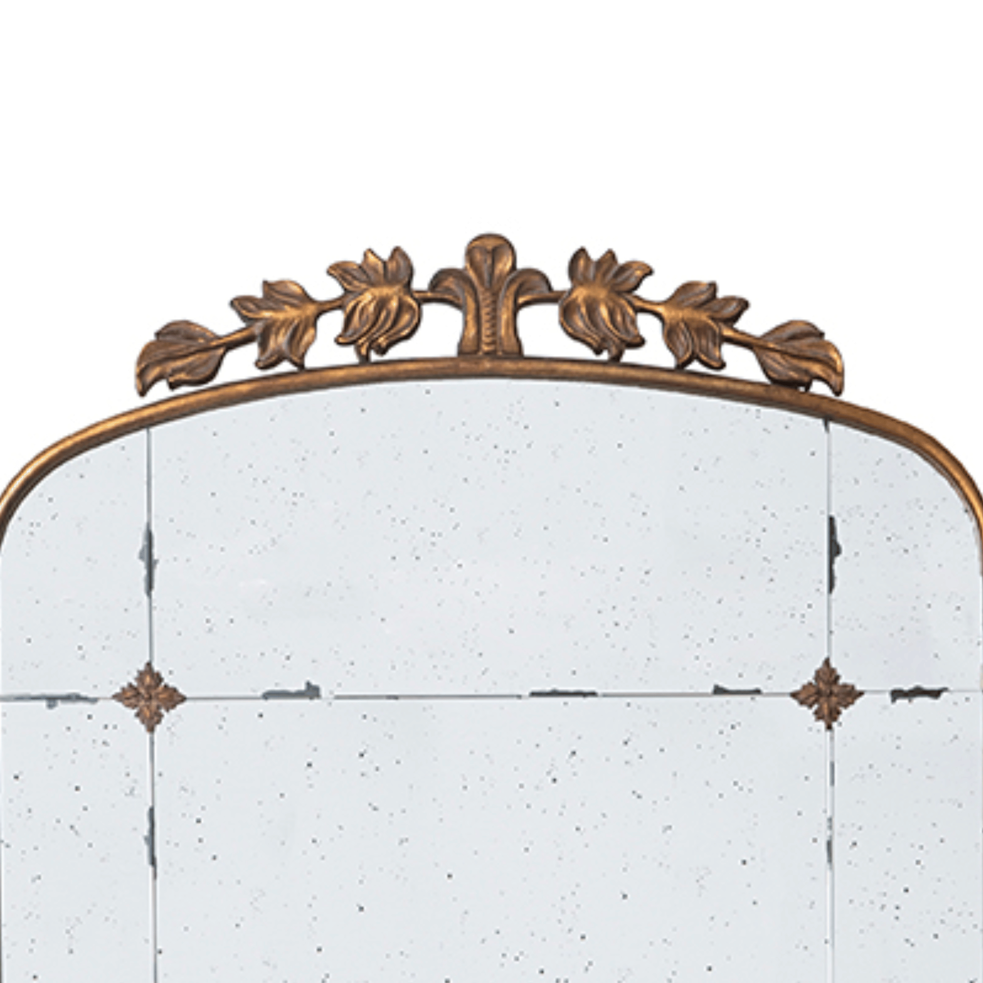 Traditional Full Length Leaning Mirror with Gold Frame